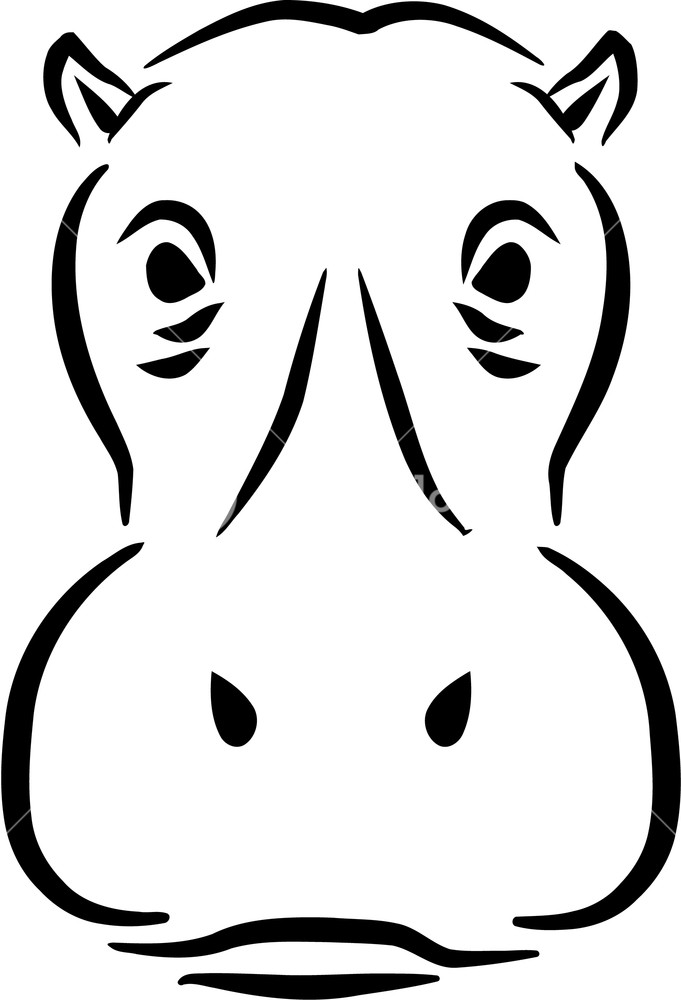 681x1000 Hippo Head Face Animal Royalty Free Stock Image
