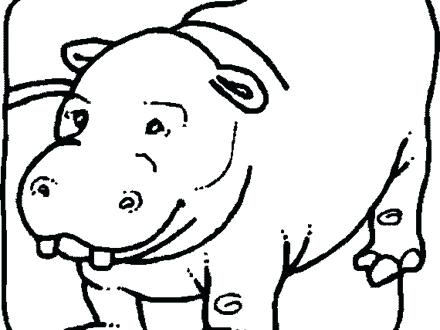 440x330 Hippopotamus Pictures Free Drawn Hippo Pages Coloring For Adults