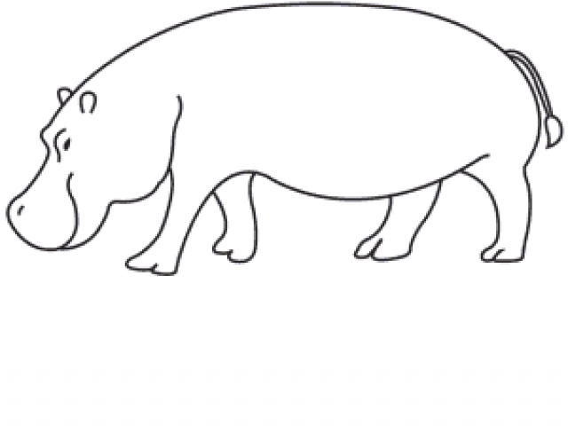 640x480 Free Drawn Hippo, Download Free Clip Art