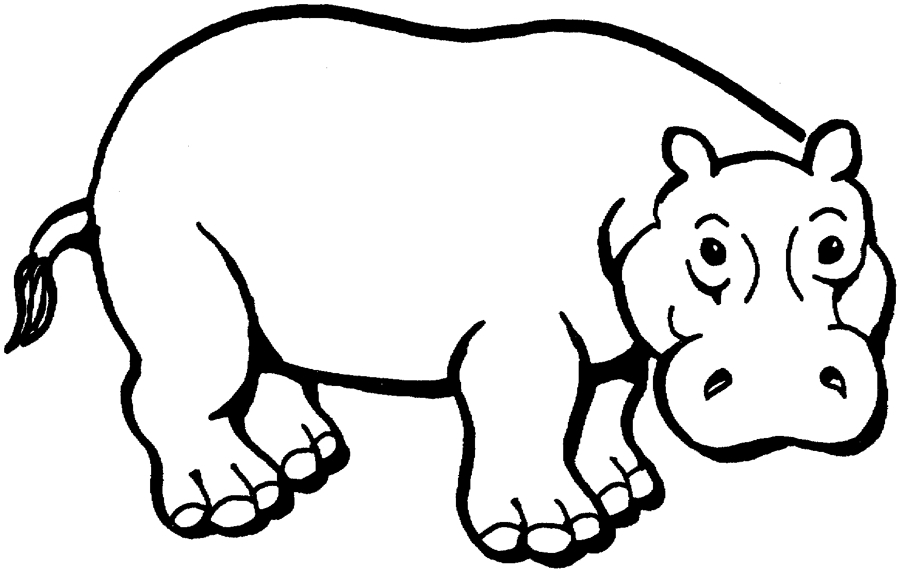 Hippo Line Drawing | Free download on ClipArtMag