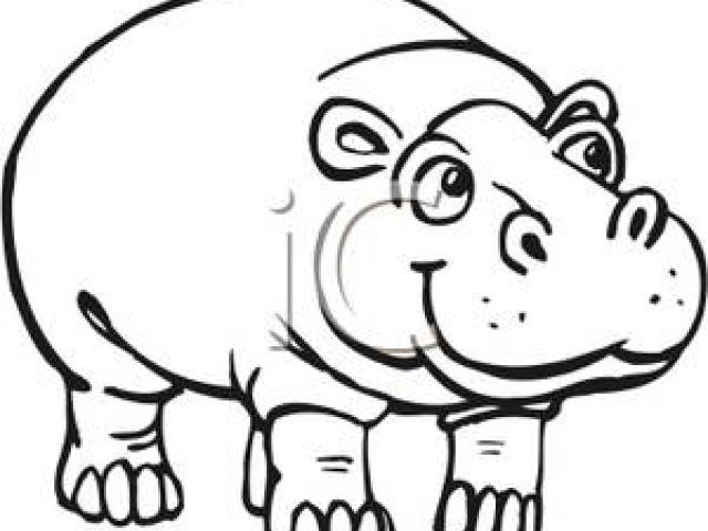 640x480 Hippo Clipart Drawn