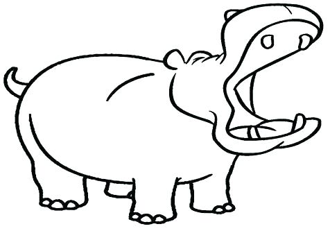 Hippo Line Drawing | Free download on ClipArtMag