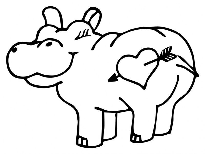 Hippo Outline Drawing