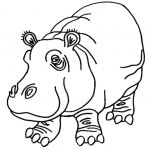 150x150 Cute Hippo Coloring Pages Hippo Outline Drawing