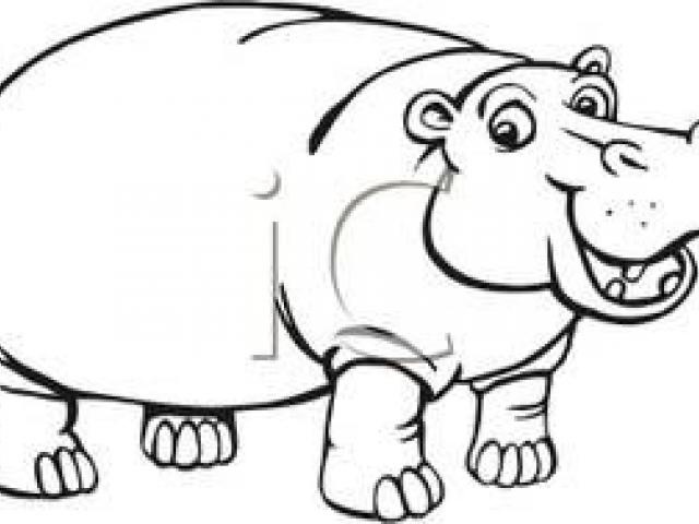 640x480 Hippo Clipart