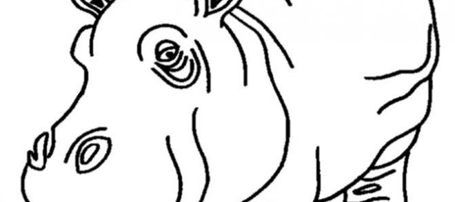 660x293 Animal Coloring Pages Hippo Or Hippo Outline Drawing