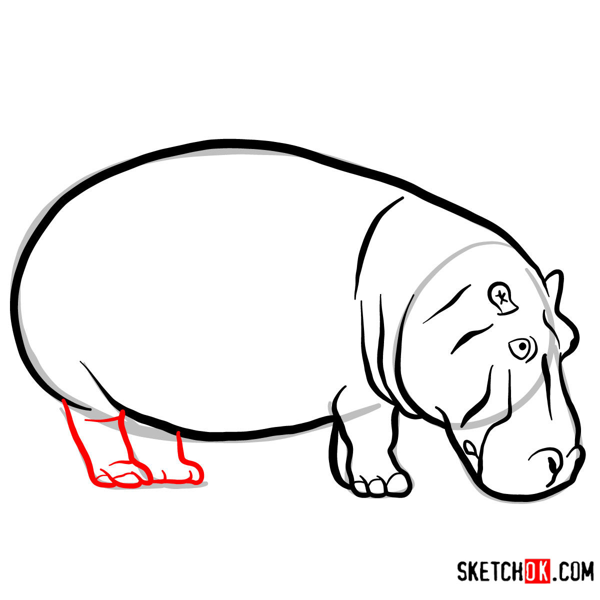 1200x1200 How To Draw A Hippopotamus Wild Animals