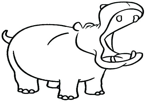 476x333 Drawings Of Hippos Image Titled Draw A Cartoon Hippo Step Hippo