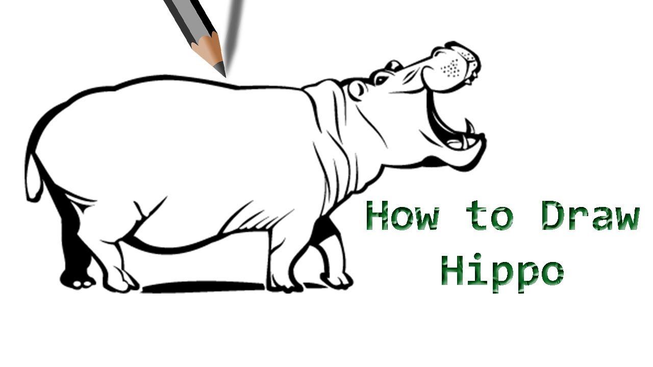 1280x720 Hippo Drawing How To Draw Drawings, Step