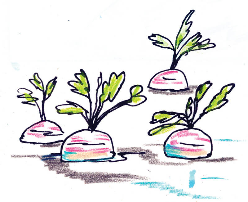 800x651 How To Hire Amazing Employees