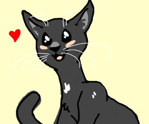 300x250 Draw Your Pet Pio