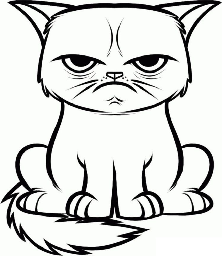 750x865 hissing cat coloring pages coloring pages for kids in cat