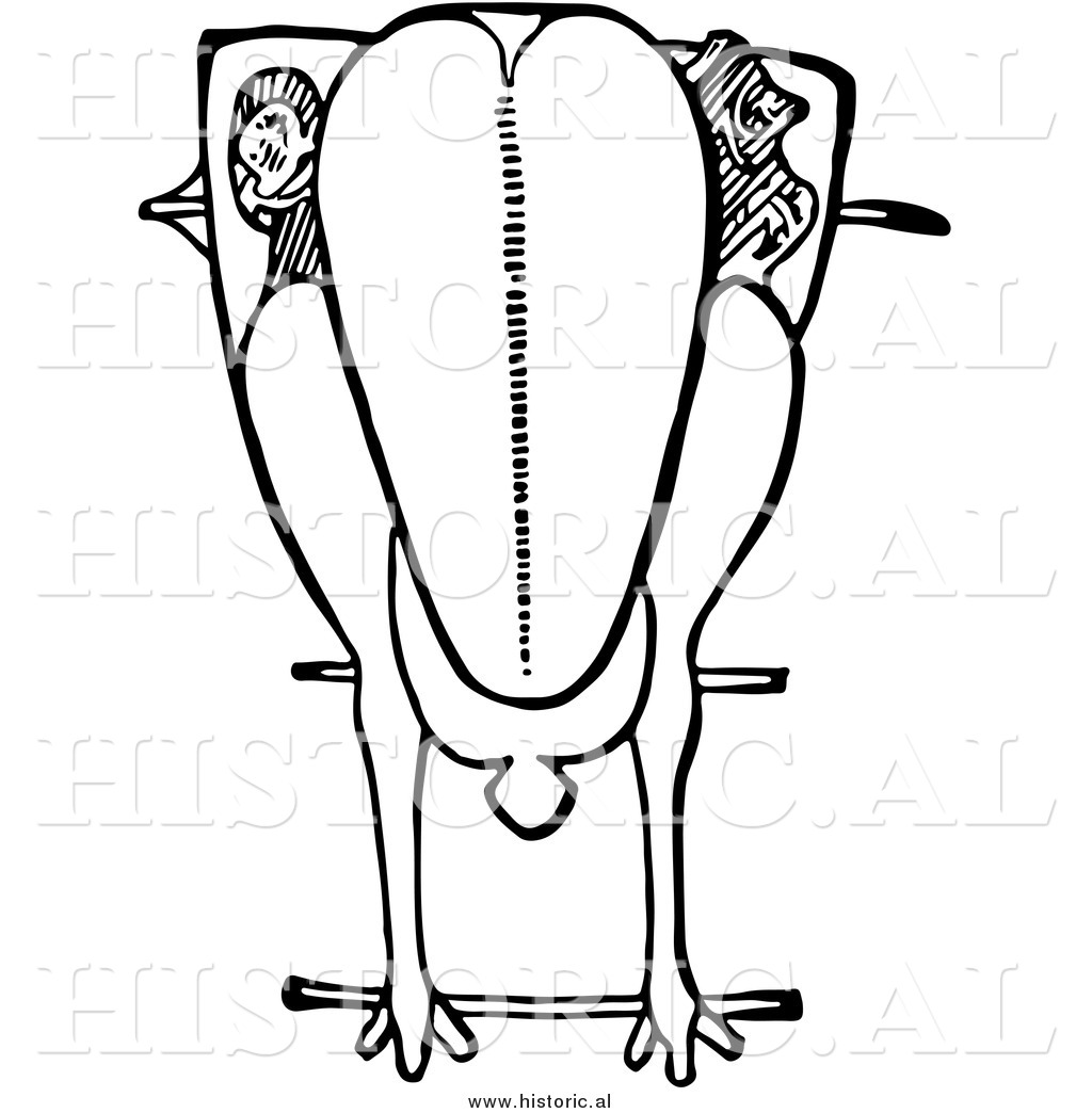 1024x1044 Clipart Of A Trussed Chicken Ready For Roasting