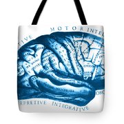 180x180 Historical Drawing Of Brain Photograph