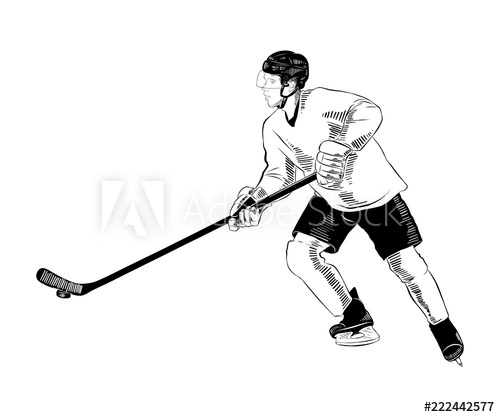 500x417 Vector Engraved Style Illustration For Posters, Decoration