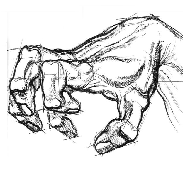 648x576 Burne Hogarth