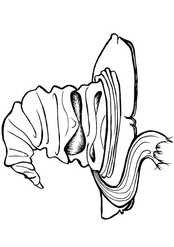 595x842 Color Crest Drawing Address Db Harry Potter Coloring Pages Harry