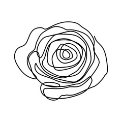 240x240 Holding Rose Flowers A Bunch Of Flower Continuous Line Art