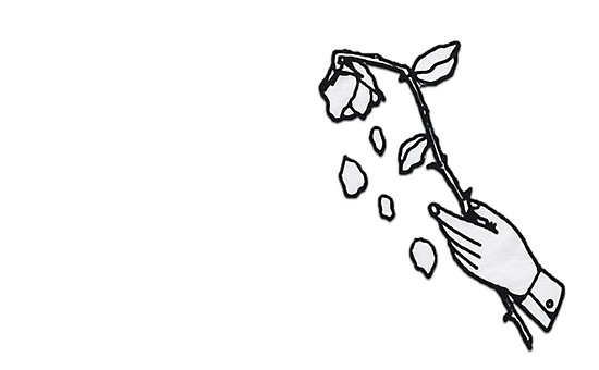 550x340 Hand Holding Rose Photographic Print