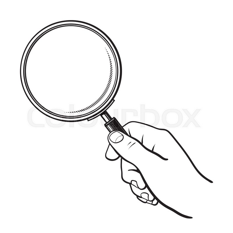 800x800 Hand Holding Magnifying Glass Search Stock Vector Colourbox