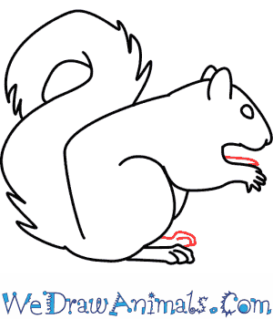300x350 How To Draw A Squirrel
