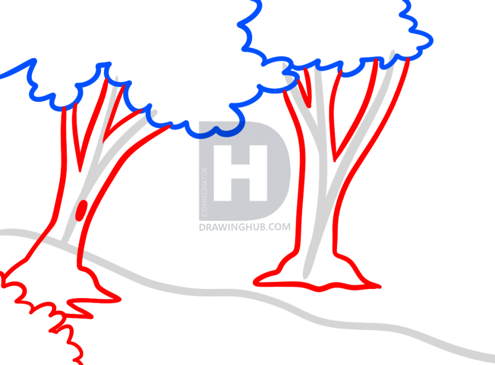 976x720 How To Draw Forests, Forest Backgrounds, Step