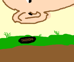 300x250 Dipping Sticks, Skyler