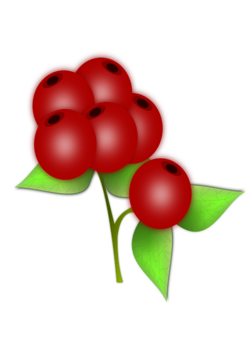 353x500 Vector Drawing Of Leaves And Berries Of A Holly