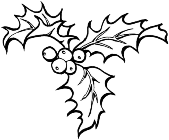 336x279 Collection Of Free Holly Drawing Sketch Download On Ui Ex