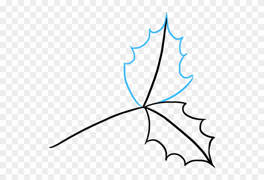 880x599 How To Draw Holly