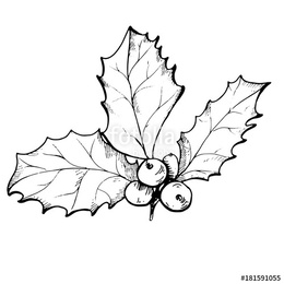260x260 Download Drawings Of Christmas Holly Clipart How To Paint Draw