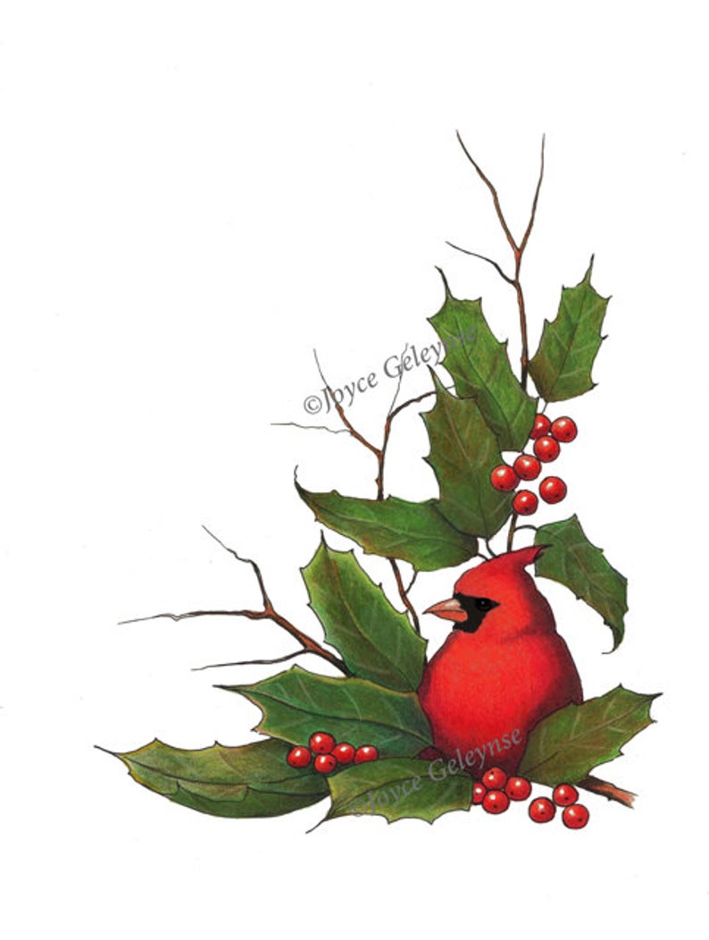794x1052 Clip Art Christmas Border With Cardinal Bird And Holly Instant Etsy