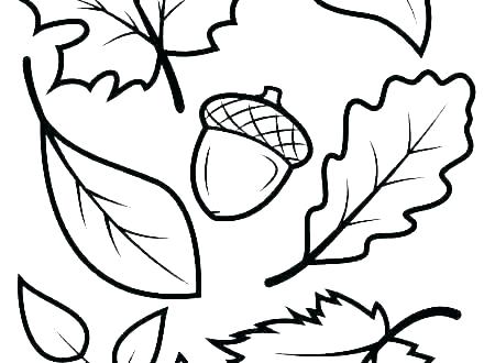 440x330 Coloring Pages Fall Printable Printable Leaves Coloring Pages Leaf