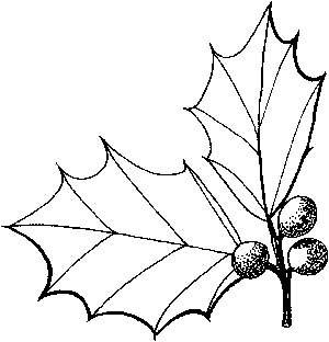 300x312 Drawn Leaves Holly