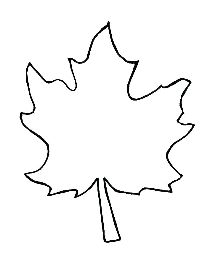 736x907 Jungle Leaf Outline Template Simple Maple Holly
