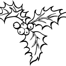 230x230 Stunning Design Christmas Coloring Pages Holly Drawing Zfcampus