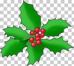 310x278 Christmas Ornament Drawing Red Berries Png Clipart Free