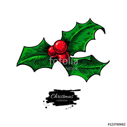 500x500 Christmas Mistletoe, Holly Berry With Leaves Hand Drawn Vector