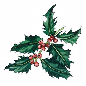 275x275 New Leaves Photos And Images