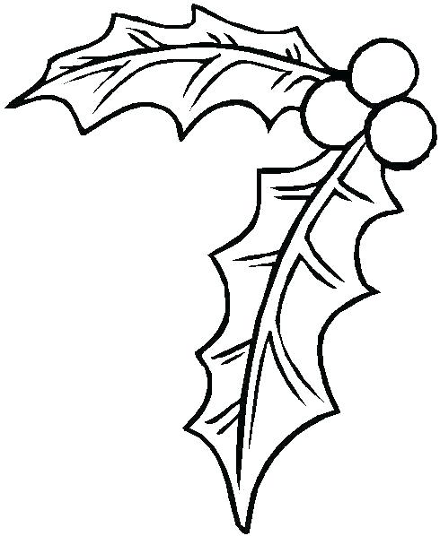 490x598 Holly Coloring Pages Free And Holly Coloring Pages Line Drawing