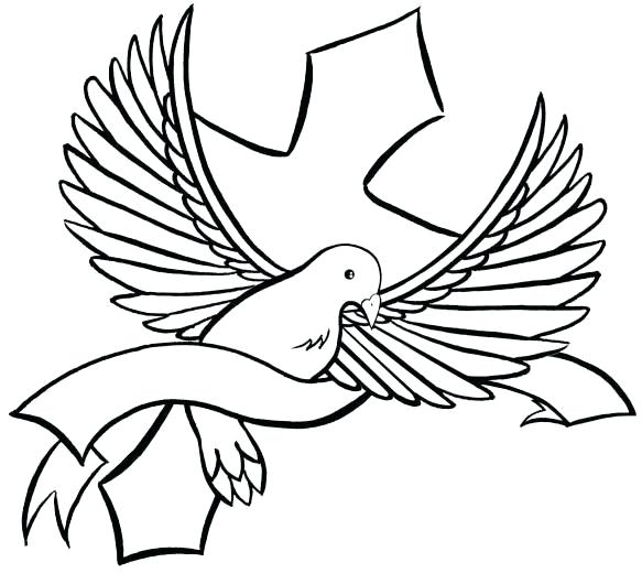 583x520 Dove Outline Drawing Holy Spirit Dove Drawing