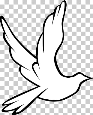 310x382 Drawing Dove Png Cliparts For Free Download Uihere