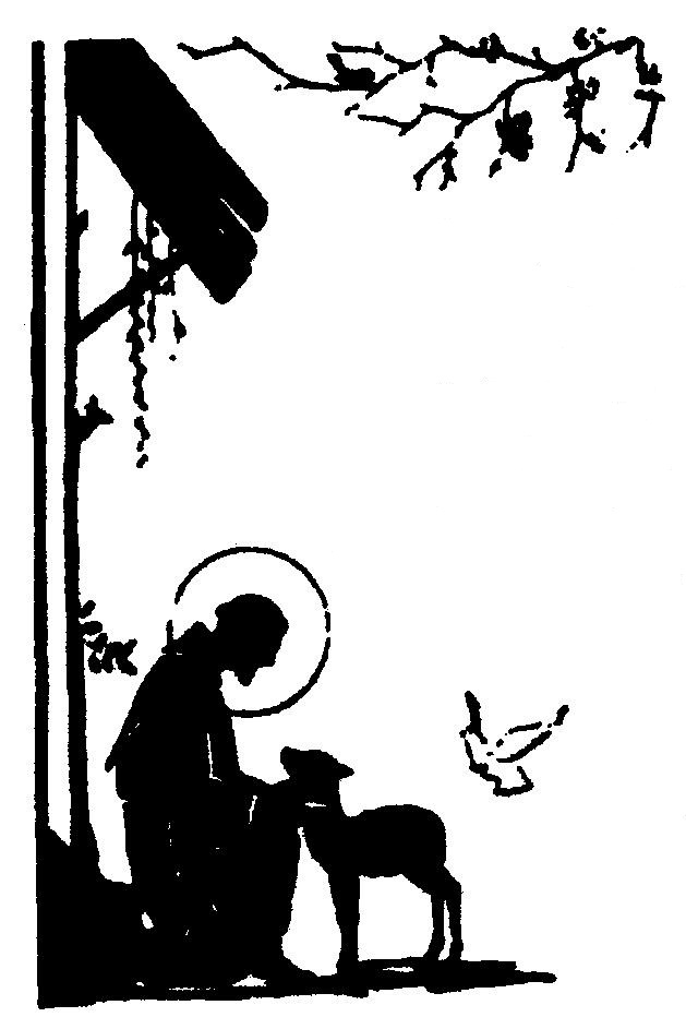 629x943 Blessing Of Animals