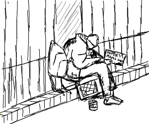 300x250 Homeless Koala