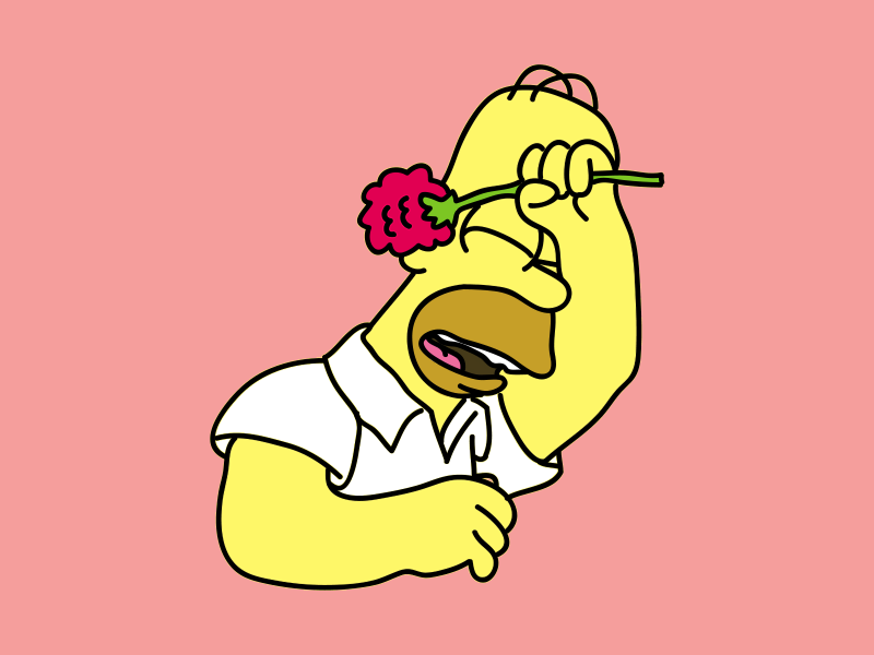800x600 Homer Simpson