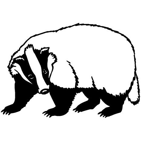 Honey Badger Drawing