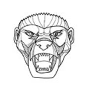 180x180 Honey Badger Head Monoline Digital Art