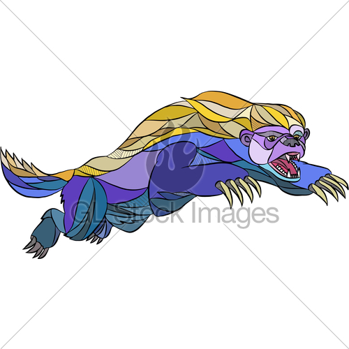 500x500 Honey Badger Jumping Drawing Gl Stock Images