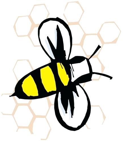 434x500 Draw Cartoon Honey Bee How To Draw A Cartoon Honey Bee Step