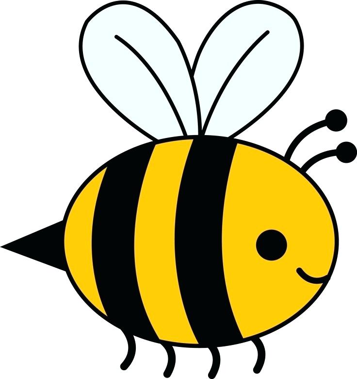 736x780 Easy Bee Drawing Image Titled Draw A Cartoon Bee Step Easy Honey